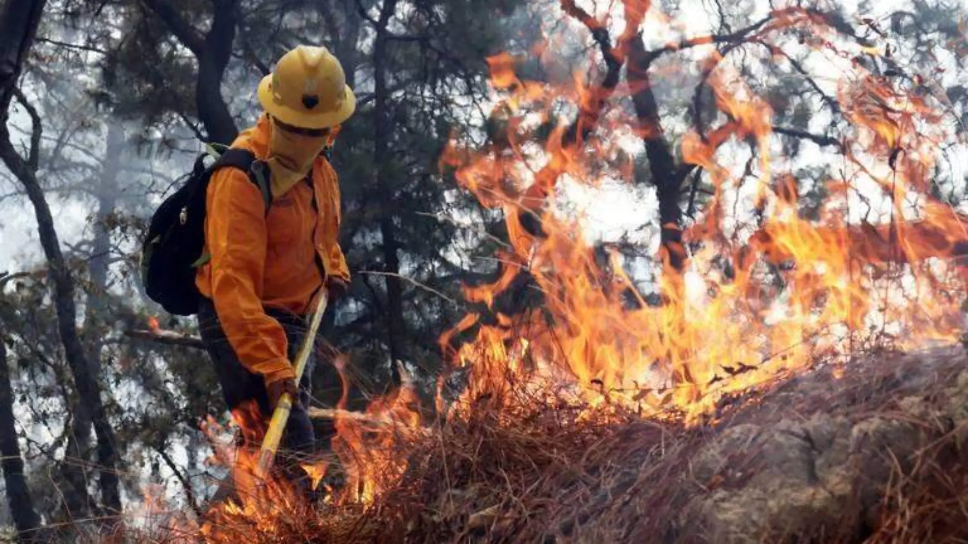 INCENDIO 2 FOTO MARGARITO PEREZ RETANA I CUARTOSCURO